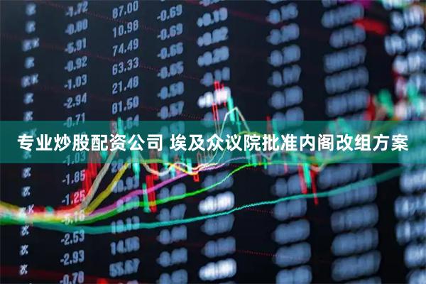 专业炒股配资公司 埃及众议院批准内阁改组方案