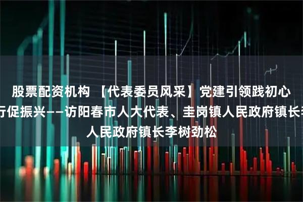 股票配资机构 【代表委员风采】党建引领践初心 实干笃行促振兴——访阳春市人大代表、圭岗镇人民政府镇长李树劲松