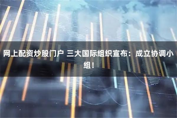 网上配资炒股门户 三大国际组织宣布：成立协调小组！